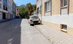 Şirintepe’de kaldırıma çıkan araç yaya geçişini engelledi