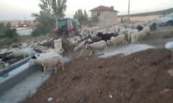 Eskişehir'de mahallenin eksiği dayanışmayla giderildi