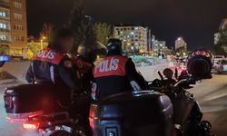 Eskişehir'de hırsızlar yunuslardan kaçamadı