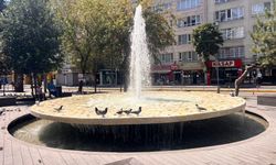 Hamamyolu’ndaki süs havuzunda kuşlar serinledi