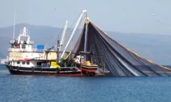 Balıkçılıkta büyük gelişme: Destek artıyor