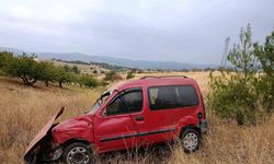 Kontrolden çıkan hafif ticari araç tarlaya uçarken, sürücüsü yaralandı