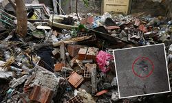 Eskişehir'de acı manzara: Engelli iki oğluyla yıllarca bu evde yaşamış