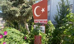 Eskişehir'de görenleri sorgulatan bahçe