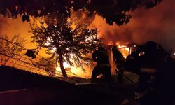 Eskişehir'de yangın paniği: Mahalleli sokağa döküldü