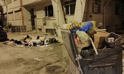 Eskişehir'e yakışmayan görüntü: Çöplüğe döndü!