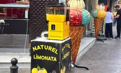 Eskişehir'de limonata satışları düştü