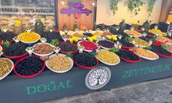 Eskişehir'de çeşit çeşit zeytinler yoğun ilgi görüyor!