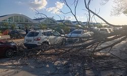 Eskişehir'de aracını park ettiği boş araziye döndüğünde şok yaşadı