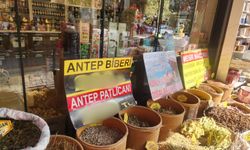 Eskişehir'de kurutmalıkların fiyatı cep yakıyor!