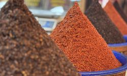 Türkiye'nin pul biber ihracatı yılın 9 ayında yüzde 4 arttı