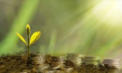 Türkiye bankalarının iklim adımları sınırlı kaldı