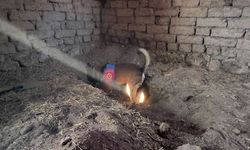 Eskişehir'de 2011'den beri kayıptı: Korkunç gerçek ortaya çıktı