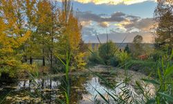 Eskişehir'de bugün hava durumu (30 Ekim 2025 Perşembe)