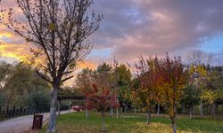 Eskişehir'de bugün hava durumu (31 Ekim 2025 Cuma)