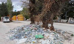 Baksan Sanayi Sitesi’nde ağacın çevresindeki moloz ve sanayi atıklarına tepki