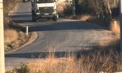 Tekören yolunda uzayan ağaç dalları sürücülere zorluk yaşatıyor