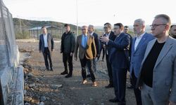 Vali Musa Işın: "Hayvanlara merhamet göstermek, insanlığa merhamet etmektir"