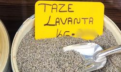 Eskişehir'de taze lavantanın fiyatı uçtu!