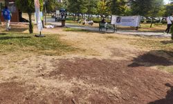 Eskişehir’in gözde parkında yeşil alanlar kayıp!