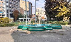Eskişehir'de sokak hayvanlarına duyarlı dokunuş