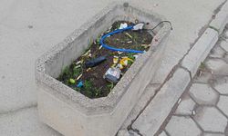 Eskişehir'de çevre duyarsızlığı: Saksı çöp yığınına döndü!
