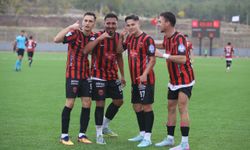 Bozanspor’un hedefi puanla dönmek