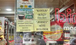 Eskişehir'de Jersey süte vatandaştan yoğun ilgi!