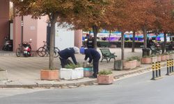 Eskişehir'de beton saksılardaki bitkilere özenle bakılıyor