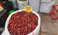 Kurutulmuş Meksika biberi kilosu 500 TL’den satılıyor