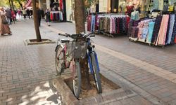 Eskişehir'de ağaçlara bağlanan bisikletlere tepki