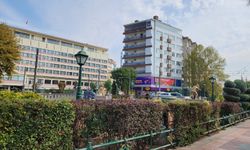 Eskişehir'de palmiyeler kışa hazırlanıyor