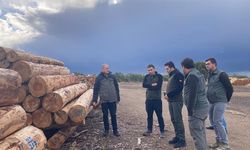 Eskişehir Orman Bölge Müdürlüğü'nden denetim