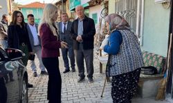 Bayan Kaymakam köy köy dolaşıyor