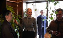 Bilecik’te Sanat Sokağı Yılbaşı Çarşısı için hazırlıklar başladı