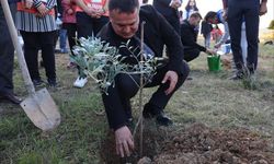 BŞEÜ’de zeytin fidanları toprakla buluştu