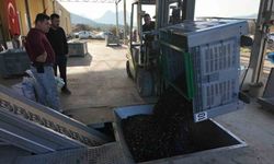 Eskişehir’in Akdeniz’inde zeytinyağının yolculuğu