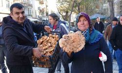 Kütahya’da melki mantarı çoğaldı, fiyatlar düştü