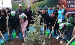 Orman şehidi Eyüp Dereli adına oluşturulan alana 15 bin fidan dikildi