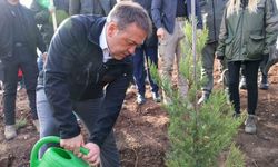 Orman yangınlarından etkilenen bölgede 5 bin fidanı toprakla buluşturuldu