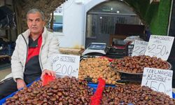 Simav kestanesi kış aylarının gözdesi