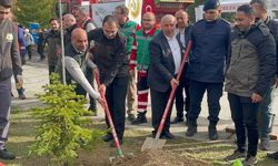 Tunçbilek’te Milli Ağaçlandırma seferberliğine katkı