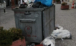 Eskişehir'de çöpler esnafı isyan ettirdi!