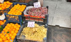 Eskişehir'de manavda üzümün fiyatı 100 lira!