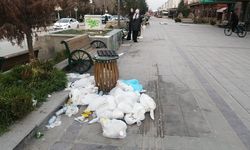 Eskişehir'in merkezinde çirkin manzara: Kaderine terk edildi