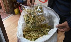 Eskişehirlileri uyardı: Şifa ararken sağlığınızdan olmayın