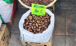 Kış aylarının sembolü Eskişehir'de tezgahlarda yerini aldı