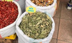 Eskişehir aktarlarında incir yaprağına talep arttı