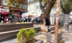 Eskişehir'de sonbahar temizliği hız kesmiyor!