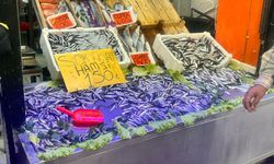 Eskişehir'de soğuyan havalar hamsiyi sofralara taşıdı